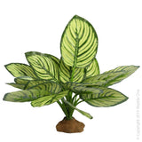 Reptile One Brandtianum Plant With Resin Base - Amazing Amazon