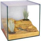 Reptile One Desert Terrarium Starter Kit - Amazing Amazon