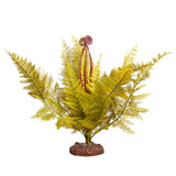 Reptile One Plant Large Eagle Fern Green With Ceramic Base - Amazing Amazon