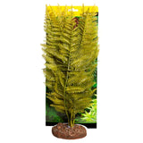 Reptile One Plant Large Eagle Fern Green With Ceramic Base - Amazing Amazon
