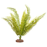 Reptile One Plant Large Fern Green With Ceramic Base - Amazing Amazon