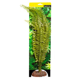 Reptile One Plant Large Fern Green With Ceramic Base - Amazing Amazon