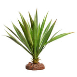 Reptile One Plant Large Succotrina Green With Ceramic Base - Amazing Amazon