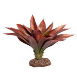 Reptile One Plant Medium Aloe Red Green With Ceramic Base - Amazing Amazon