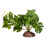 Reptile One Plant Medium Rhaphidophora Green With Ceramic Base - Amazing Amazon