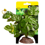 Reptile One Plant Medium Rhaphidophora Green With Ceramic Base - Amazing Amazon