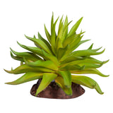 Reptile One Plant Mini Carpobrotus Green With Ceramic Base - Amazing Amazon