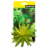 Reptile One Plant Mini Carpobrotus Green With Ceramic Base - Amazing Amazon