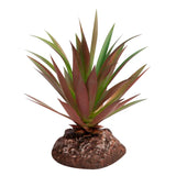 Reptile One Plant Mini Crassula Green Red With Ceramic Base - Amazing Amazon