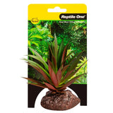 Reptile One Plant Mini Crassula Green Red With Ceramic Base - Amazing Amazon