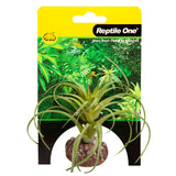 Reptile One Plant Mini Exserta Green With Ceramic Base - Amazing Amazon