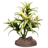 Reptile One Plant Small Flexuosa Palm Green With Ceramic Base - Amazing Amazon
