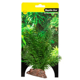 Reptile One Plant Small Sago Palm Green With Ceramic Base - Amazing Amazon