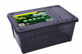 Black reptile breeding box with ventilation holes and clear lid, ideal for reptile enclosures.