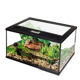 Reptile Spider Scorpion Terrarium Enclosure - Amazing Amazon