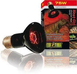 Reptile Supplies Online Reptile Products - Amazing Amazon