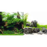 Seaview Greenspike / Amazonia Aquarium Background - Amazing Amazon