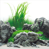 Seaview Greenspike / Amazonia Aquarium Background - Amazing Amazon