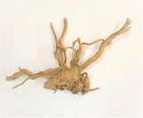 Spider Wood Driftwood Medium - Amazing Amazon