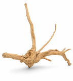 Spider Wood Driftwood Small - Amazing Amazon