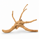 Spider Wood Driftwood Small 15–20 cm – Aquarium & Reptile Decoration