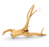 Spider Wood Driftwood Small 15–20 cm – Aquarium & Reptile Decoration