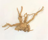 Spider Wood Driftwood Small - Amazing Amazon