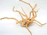 Spider Wood Driftwood Medium - Amazing Amazon