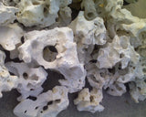 Texas Holey Rock - Amazing Amazon