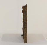 Universal Habitats 900mm x 900mm Ledge Background - Amazing Amazon