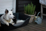 Wonderfold Dog Bed Dark Grey Small (55 x 36 x 16cm) - Amazing Amazon
