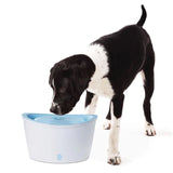 Zeus H2EAU 6L Auto Clean Bowl - Amazing Amazon