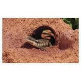 Zoo Med Cavern Kit with Excavator® Clay Burrowing Substrate 