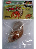 Zoo Med Hermit Crab Shell - Amazing Amazon