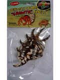 Zoo Med Hermit Crab Shell - Amazing Amazon