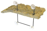 Zoo Med Turtle Dock Medium - Amazing Amazon
