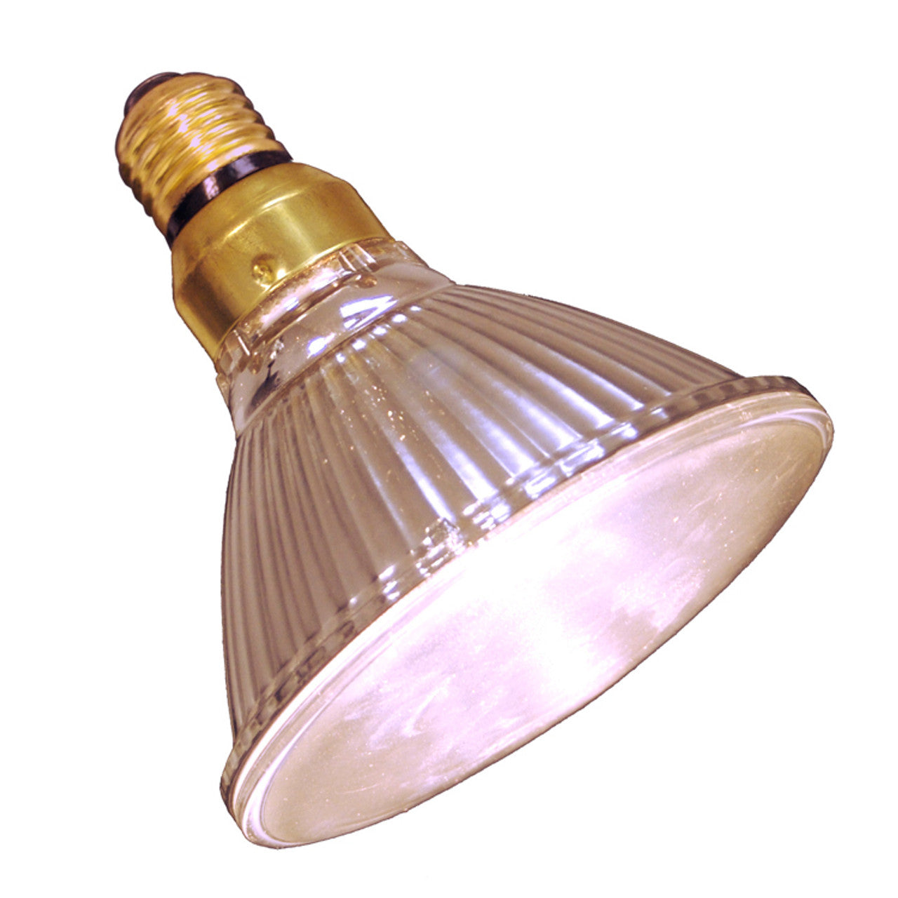 Zoo Med Repti Tuff Splashproof Halogen Lamp 50w