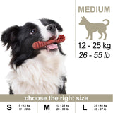 100% Snack Dog Bone Medium (45) - Amazing Amazon