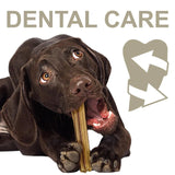 100% Snack Dog Sticks Medium (18)
