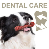 100% Snack Dog Sticks Toothbrush Medium (55) - Amazing Amazon