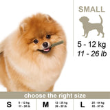 100% Snack Dog Sticks Toothbrush Medium (55) - Amazing Amazon