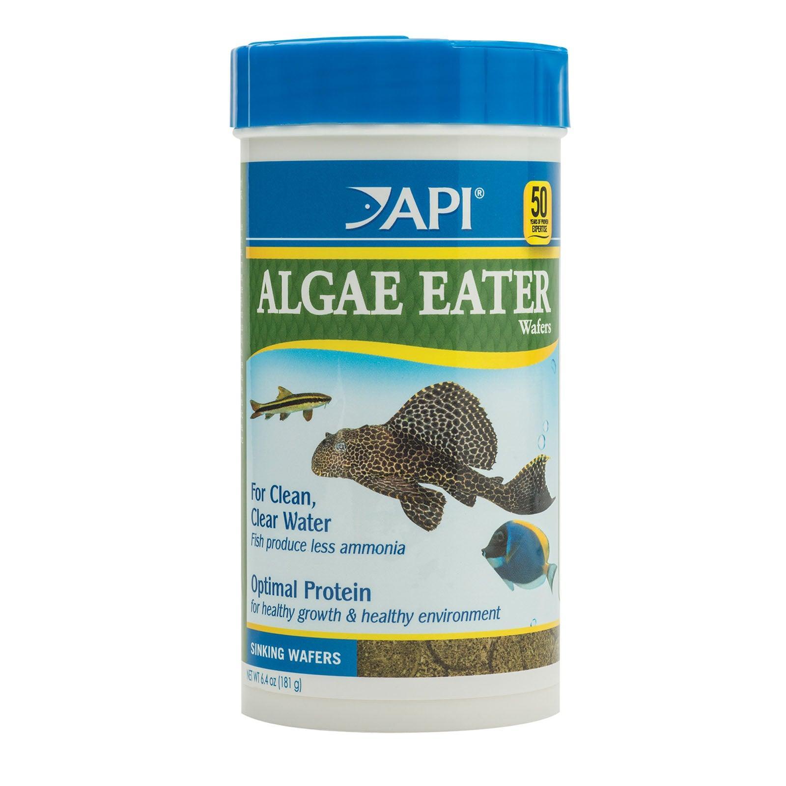 API Algae Eater Wafers 181gm - Amazing Amazon