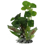 Aquarium Ornament Pennywort/Flame Spathiphyllum - Amazing Amazon